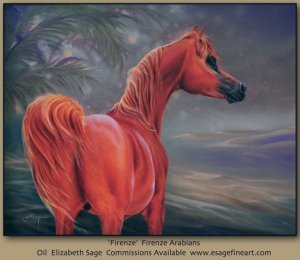 Firenze, Arabian Stallion