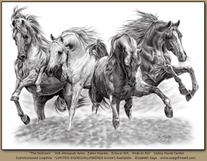The Stallions, Arabian