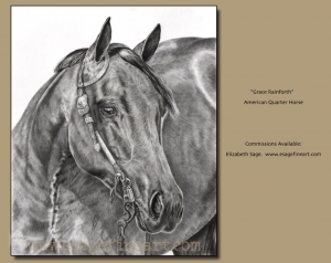 Quarter Horse;  Grace Rainforth