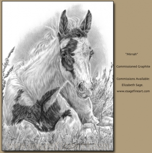 Mirrah, Paint Foal