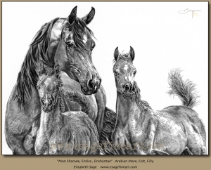 Mon Sharade and Foals, Arabian