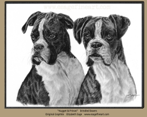 Boxers: Nugget and Prince